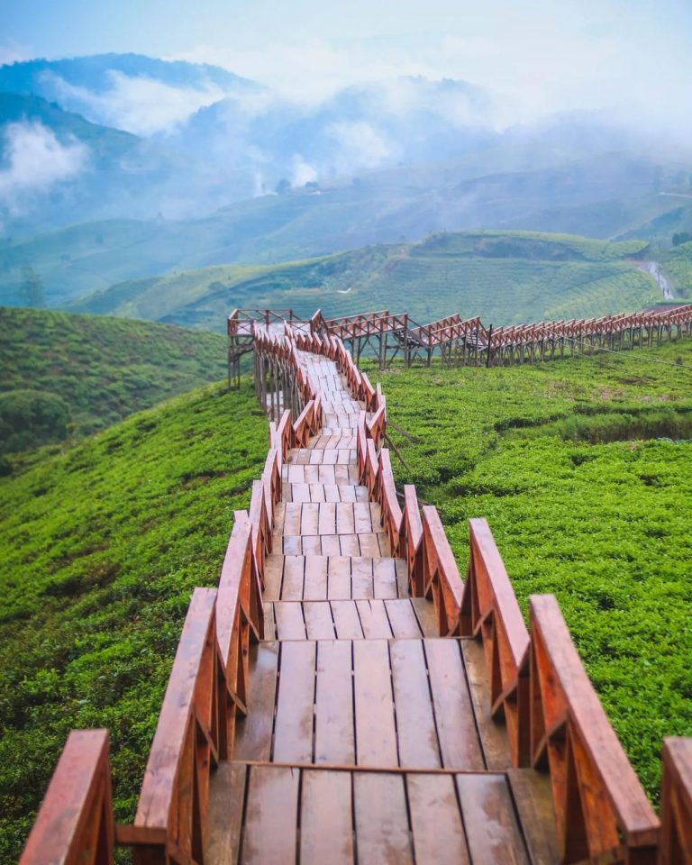 Foto Taman Langit Pangalengan Lokasi Dan Harga Tiket Terbaru Wisata