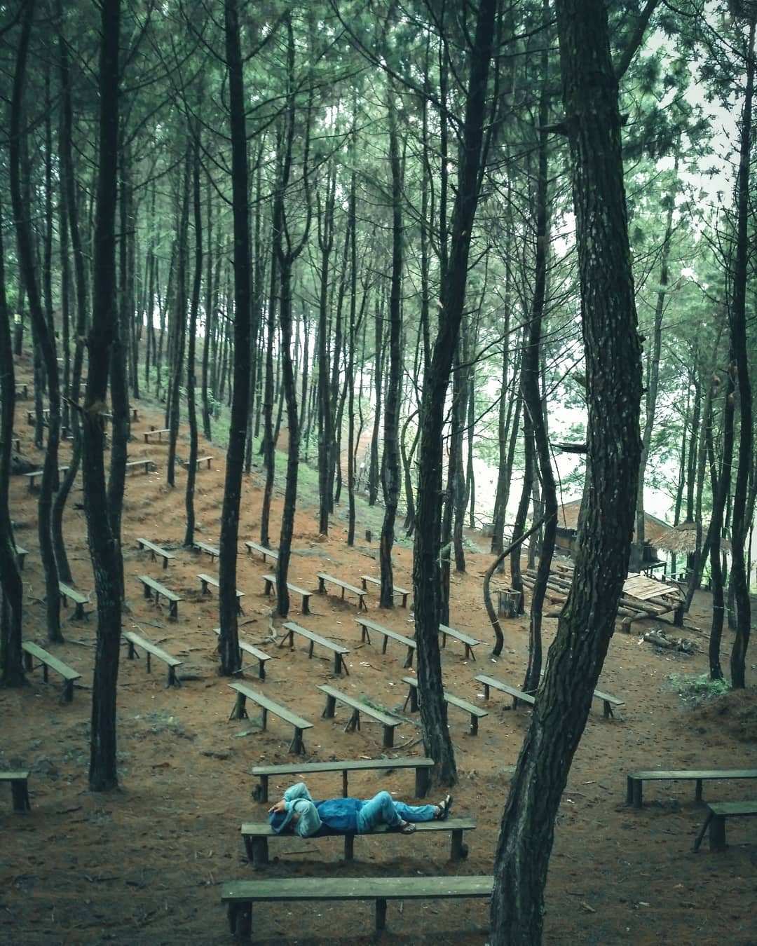 Banyaknya Tempat Duduk di Hutan Pinus Cianten Bakukung, Image From @ridwan_taufik