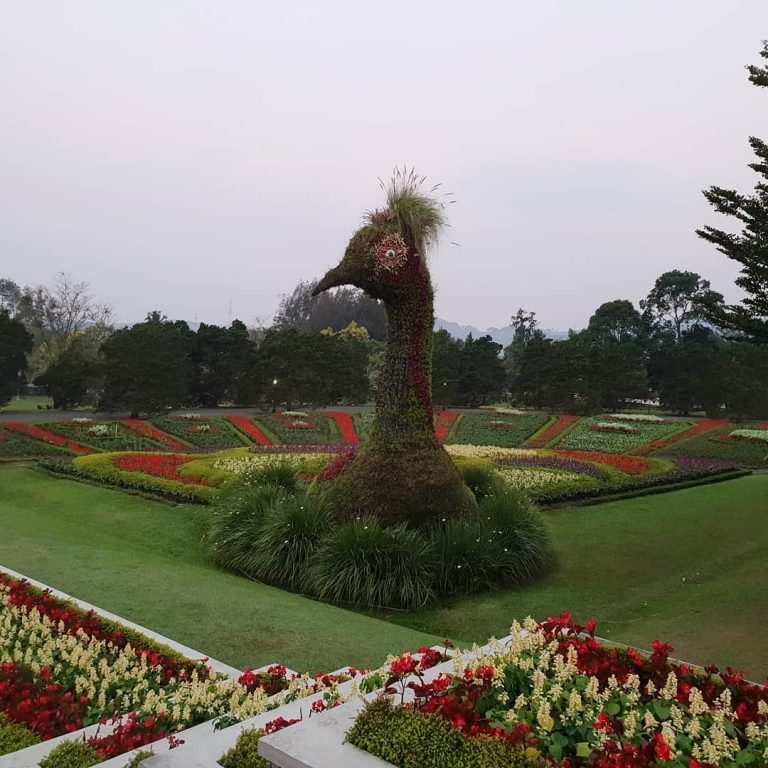  Taman  Bunga  Nusantara  Cianjur lokasi dan Harga Tiket  Mei 