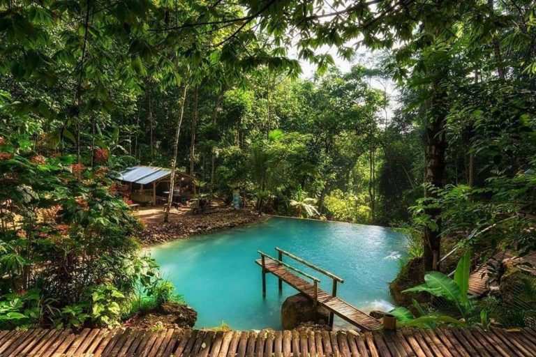 Menjelajahi Keindahan Bandung: Pesona Kebun Teh Yang Memikat Hati Menjelajahi Keindahan Bandung: Pesona Kebun Teh Yang Memikat Hati