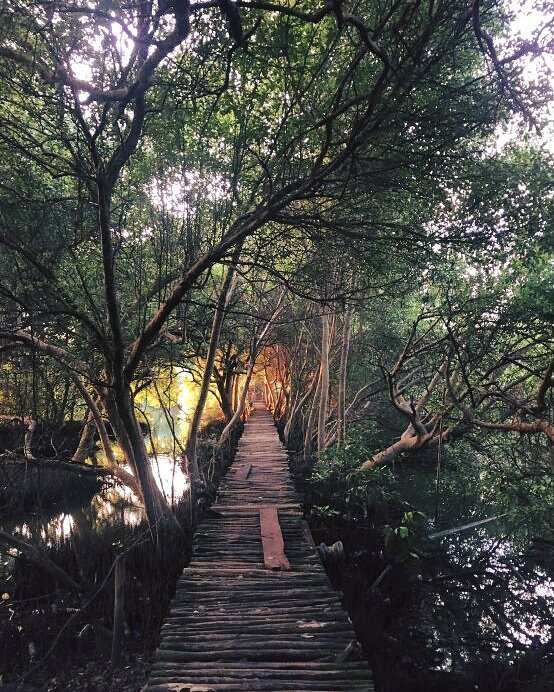 Jalan Di Kawasan Wisata Mangrove PIK Image From @andrizhang