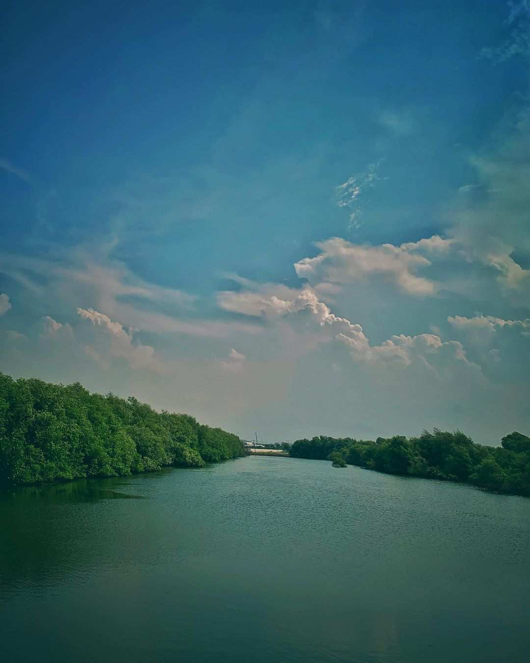 Sungai Yang Ada Di Mangrove PIK Jakarta Utara Image From @galeri110100