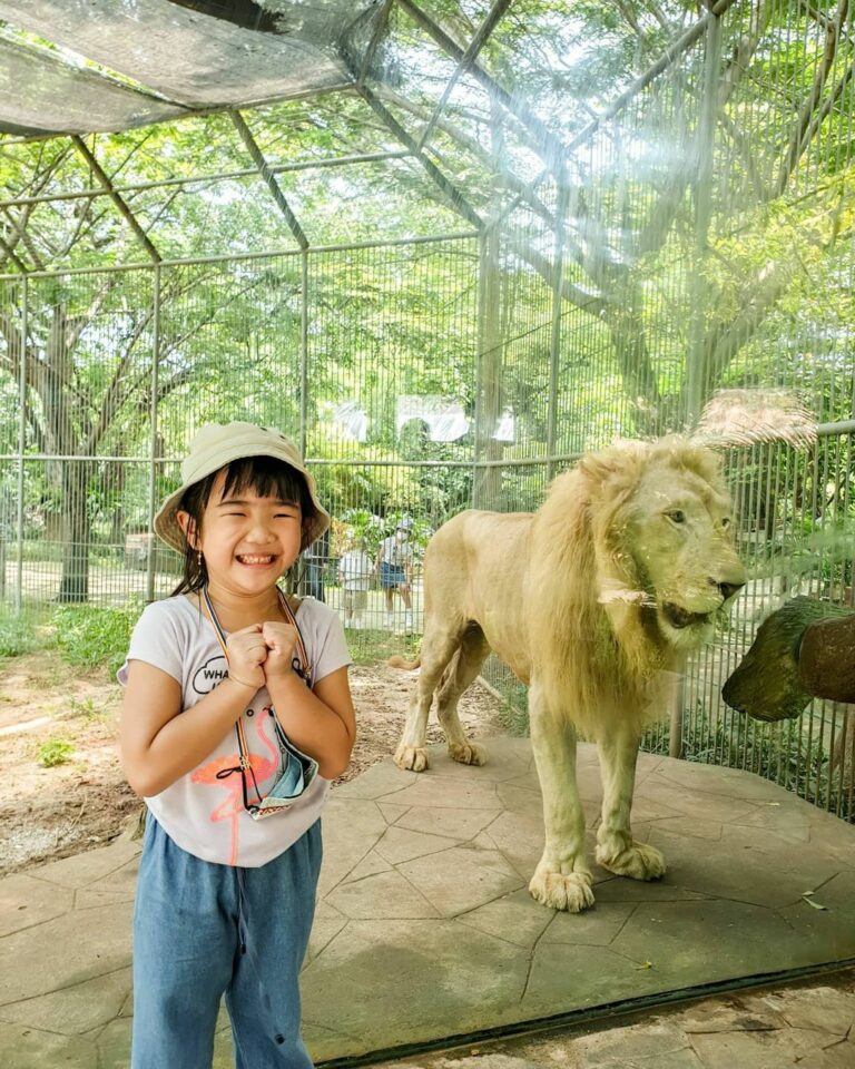 Faunaland Ancol Lokasi Dan Harga Tiket Masuk Terbaru Januari Wisata Milenial