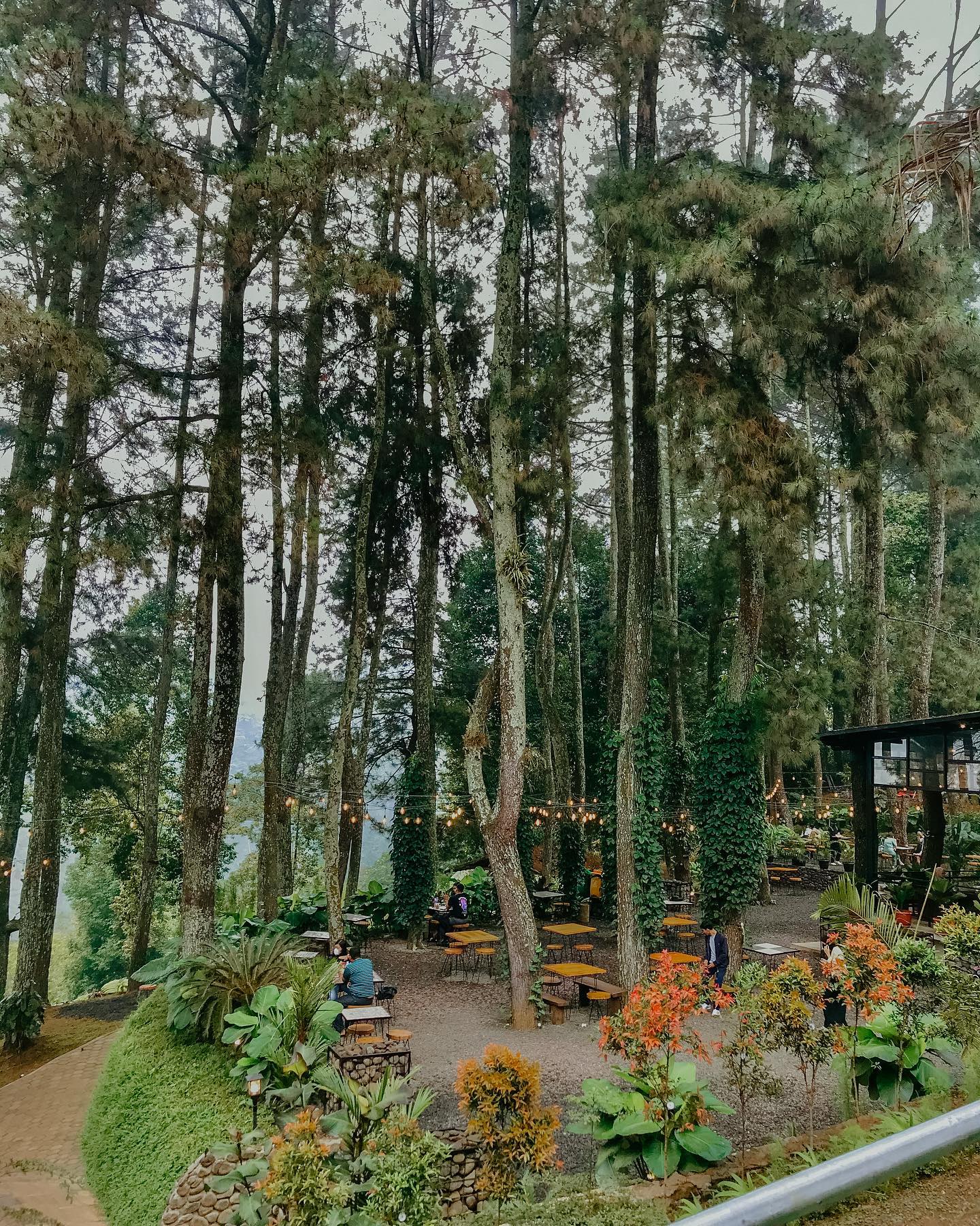 Jam Buka Aranya Coffee And Forest Bogor Image From @fatya Am_