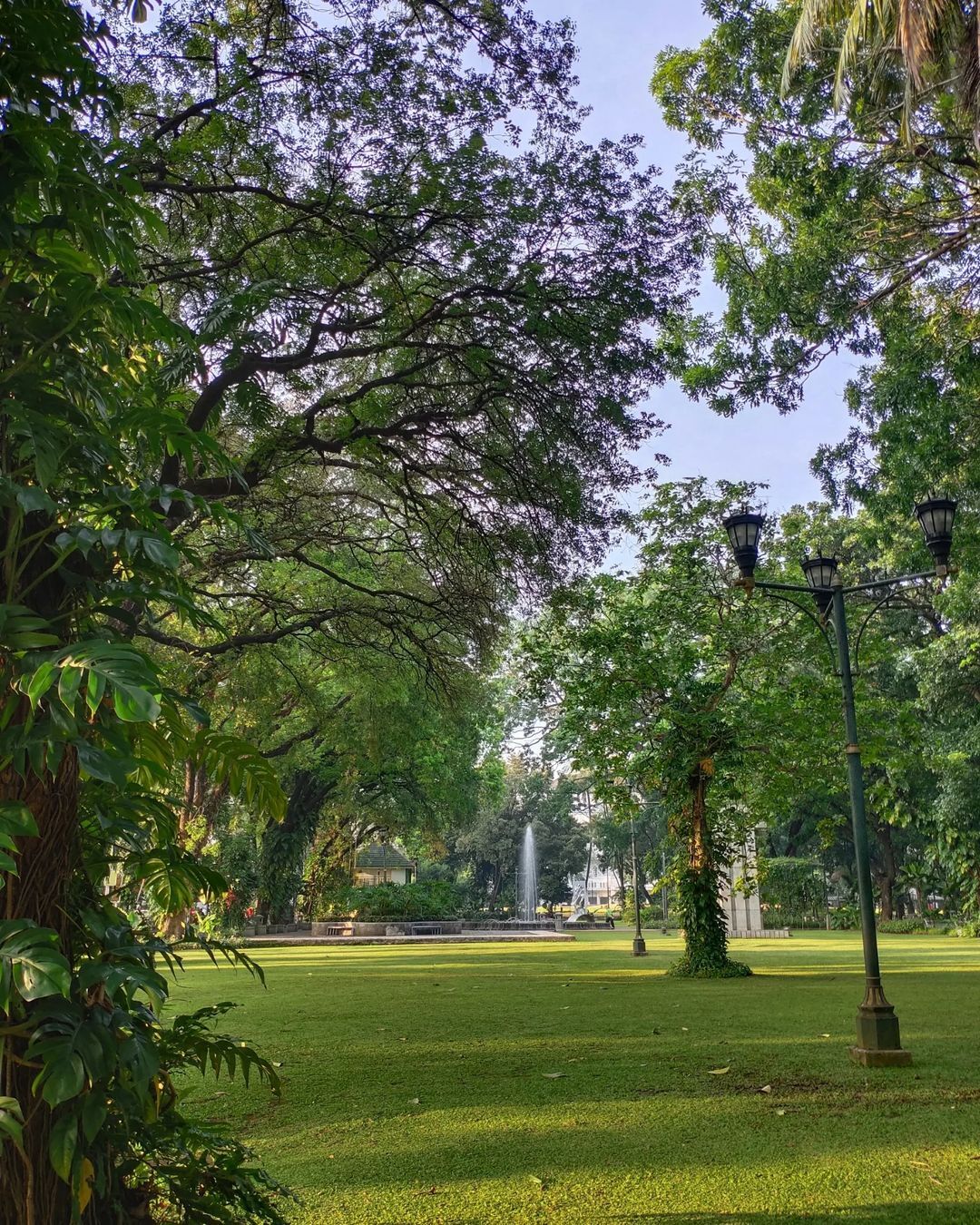 Fasilitas Taman Suropati Jakarta Pusat Image From @photo_dhi