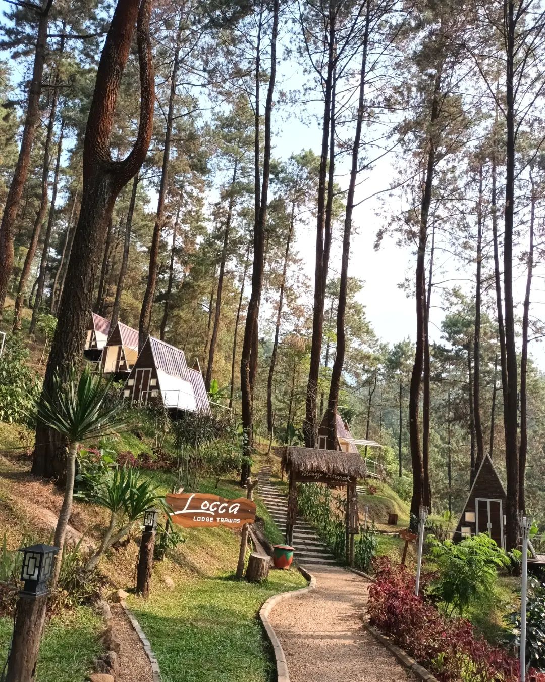 Lokasi Locca Lodge Trawas Mojokerto Image From @lesyeuxdeiqis
