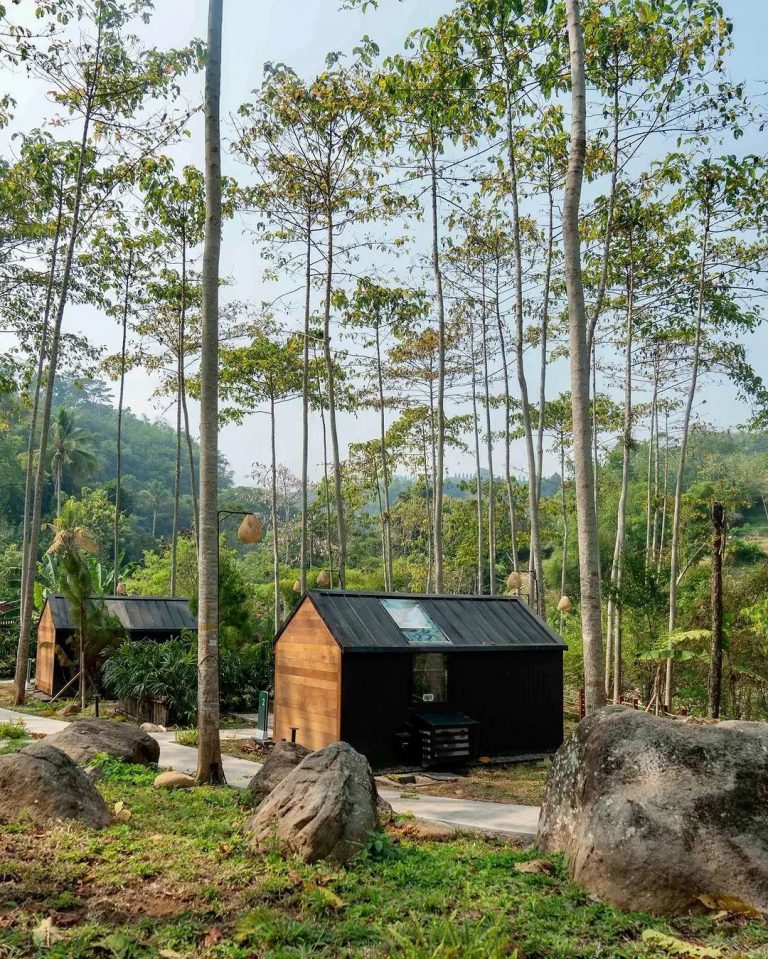 Bobocabin The Tavia Puncak Bogor Foto Dan Harga Terbaru - Wisata Milenial