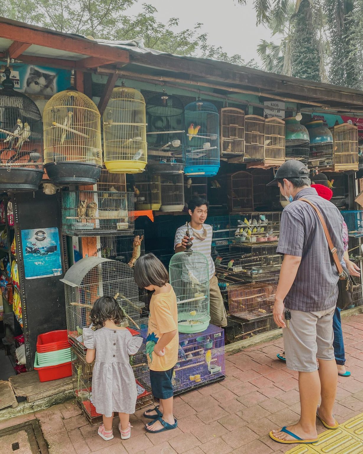 Pasar Hewan Peliharaan Barito Kota Jakarta Selatan, Daerah Khusus Ibukota Jakarta