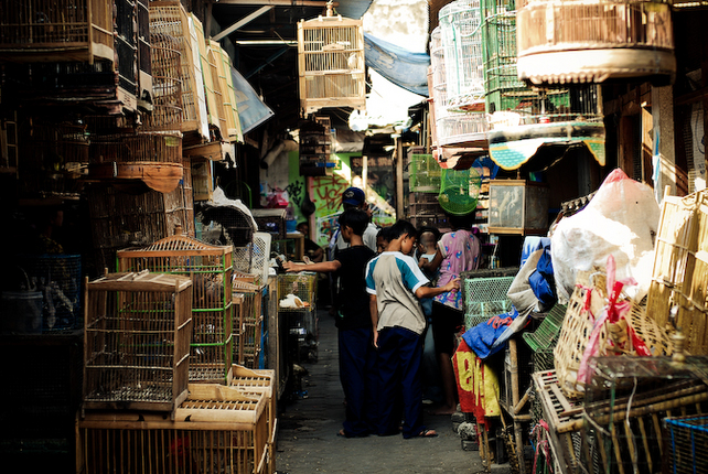 Pasar Kolong Kebayoran Lama Image From @Kamuskartu